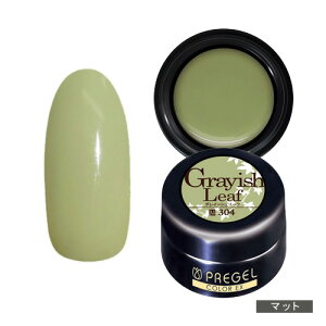 PREGEL �v���W�F�� �J���[Ex �W�F���l�C�� �J���[�W�F�� 4g 304 �O���C�b�V�����[�t �y��`�O�X�ցz