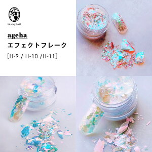 ageha AQn GtFNgt[N H-9/H-10/H-11 0.2g I[t[N I[ zO ΃lC WFlC lCA[gy`OXցz