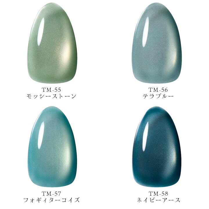 楽天市場】KOKOIST ココイスト マグネットジェル テラマグ 10g 全 12色 