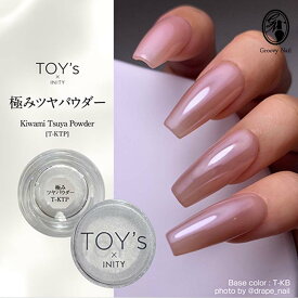 TOY's × INITY 極みツヤパウダー 0.5g 艶 つやネイル ジェルネイル ネイルアート【ネコポス対応】