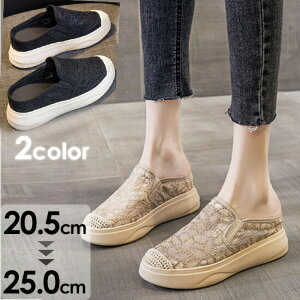 Xj[J[ T_ fB[X ؂ Xj[J[ ʋC [X  bV V[X[ q[6.5cm ƂȂ TCY x[W ubN i T{T_ 