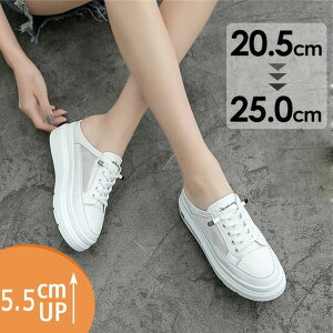 Xj[J[ T_ fB[X ؂ ƂȂXj[J[ ʋC [X  bV V[X[ q[5.5cm ƂȂ TCY zCg i Xj[J[T_