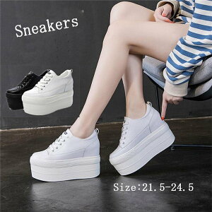  Xj[J[V[Y Cq[ fB[X   ҂ݏグ [XAbv ȂC C V[Y ₷ 21.5/22.0/22.5/23.0/23.5/24.0/24.5 di053d4d4d4