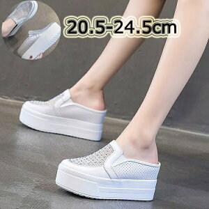 Xj[J[ ~[ fB[X  ʋC  bV V[X[  tbg q[8cm ƂȂ TCY Vo[  zCg i T{T_T_ 