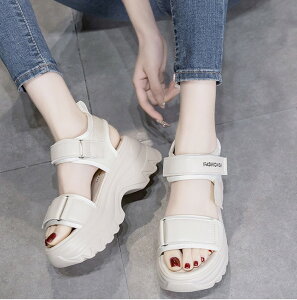 EFbW\[ X|[cT_  fB[X 킢 IV r 傫TCY TCY q[6.5cm W[p ][g ^EpT_ r Sn JWA C l