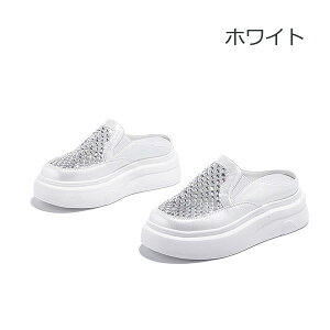 Xj[J[ T_ fB[X 22.5~25.0cm  ʋC  bV V[X[  tbg ɂ r ₷ q[6cm ƂȂ E₷ zCg S[h V