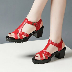 XgCvT_ q[T_  T_ T_ fB[X Ƃ ANXgbv 傫TCY TCY Sn悢  r l  C  