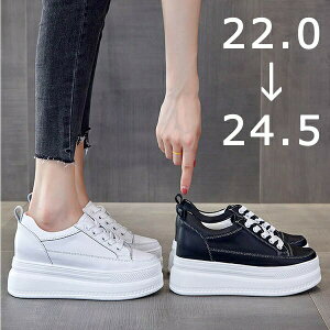 Xj[J[   Cq[ fB[X    q[8cm/5cm CЂ t R ʊw ₷ E₷ bVV[Y r EFbW\[ zCg ubN PU 