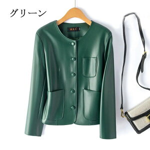 fB[X WPbg m[J[ tFCNU[ AE^[ H~ t  ubN uE O[ V[g lJWA ʋ ʊw  i ̌^Jo[ M`7L