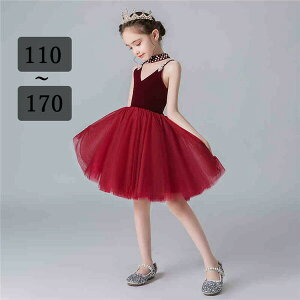 LbYhX sAm \ qhX LbY qǂ t[K[ ̎q  uC_  Ȃ V[g Ђ L~hX o Pl t y p[eB[@