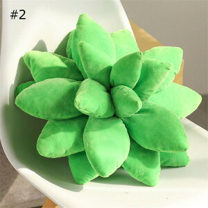 ʂ Succulent pillow  ܂ ObY v[g Mtg Q 킢 CeA q   PP a G肢 􂦂 ޏ _炩 蕨
