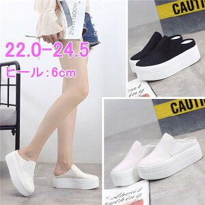  Xj[J[ ƂȂ Cq[ fB[X C t Xj[J[ JWA  q[6cm i r ʊw IV ֗ ؍ ysz  