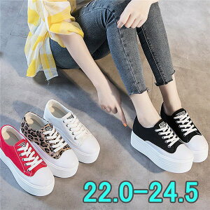  Xj[J[ Cq[ fB[X C t Xj[J[ JWA  q[6cm i r ʊw IV ֗ ؍ ysz    qE