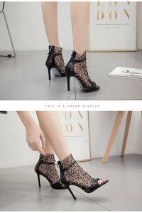 u[cT_ T_ fB[X bV I[vgD T}[u[c V[gu[c  nCq[ sq[ r q[10cm 傫TCY 25.0 25.5 26.0 t@Xi[ obNWbv 