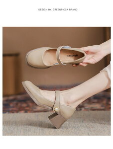 fB[X CpvX r ₷ ubNuE傫TCY q[5.5cm@JWAʋ ʊw Ǝ  w