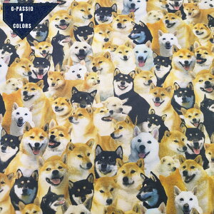 IbNXfW^vg obN NbV  w n z  Rbg  Ck Č JCC A { nhCh CeA В XN[obN V[Y̑