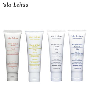 AtA nhN[ lCPA nhPA I[KjbN Y {fBPA i` mP~J R nC