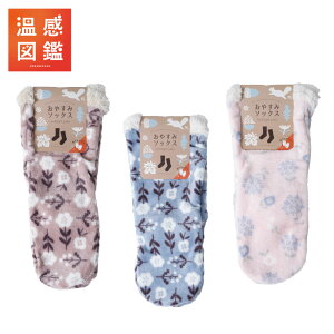 ₷݃\bNX C \bNX fB[X  ӂӂ  [EFA [\bNX