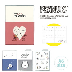 Xk[s[ XPW[ A6TCY }X[ g 2025N10 2027N1 킢 蒠 jn܂ XPW[ 2026 10n܂