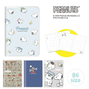 s[ibc Xk[s[ XPW[ B6TCY }X[ g 2025N10 2027N3 킢 蒠 jn܂ XPW[ 2026 10n܂