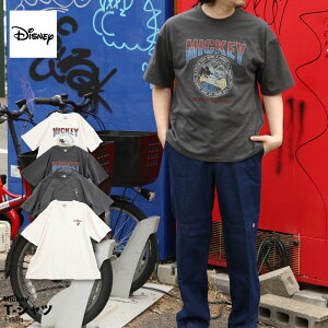 y݌ɏz~bL[ ~bL[}EX fBYj[ Disney bN oT ohTVc   TVc Y fB[X  lC S