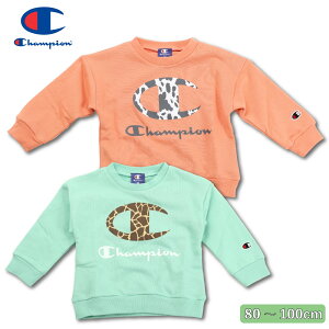 `sI  g[i[ champion xr[ j̎q ̎q  oYj S hJ uh 80 90 95 100 vI[o[ O[ IW t H  v[g  Aj} p[J[ 