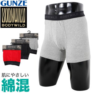 BODYWILD O {NT[pc GUNZE ȍ   pc Ci[ am Y {fBCh O[ ɂ₳ ȍ j n Vv Lk Xgb` bh ubN O[