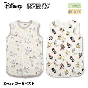 fBYj[ Xk[s[ X[p[ xXg~bL[ PEANUTS xr[ 2way 6d K[[ 100 Rbg  oYj v[g Mtg ̎q j̎q LN^[  80 90 95 蕨 i`
