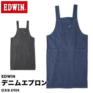 EDWIN fj Gv fB[X  K ۈ牀 ۈm JtF   n Vv jp lCr[ ubN GhEB