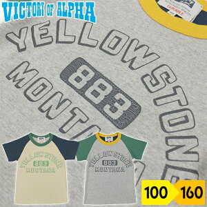 TVc  q j̎q LbY zFؑ JWA POP Svg WjA XN[ ʉʊw Rbg 100 rNg[IuAt@ victory of alpha x[W ۃO[yLittle Starsz