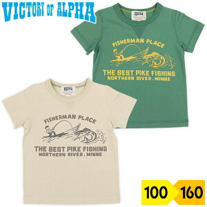 TVc  q j̎q LbY ނ FISHERMAN vg Vv JWA WjA XN[ ʉʊw Rbg 100 rNg[IuAt@ victory of alpha x[W O[ ΁yL