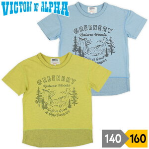 TVc  q j̎q LbY hbvV_[ i Vv WjA XN[ Rbg 100 rNg[IuAt@ victory of alpha }X^[h Fn TbNX u[n 