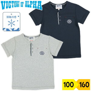 TVc ڐG⊴  q j̎q LbY w[lbN Vv JWA  WjA XN[ ʉʊw Rbg 100 rNg[IuAt@ victory of alpha ۃO[ lC