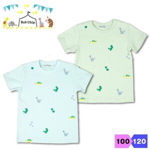 ou`bv Bab Chip j TVc 100% 100 110 120 LbY j̎q   hJ j̎q O[ u[ V