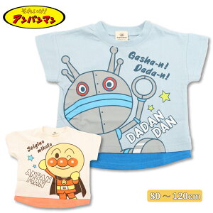 񂾂 TVc  xr[ Ap} ___ 80 90 95 100 110 120 LbY q j̎q vg 100%  d˒ C[h ۈ牀 w ʉ ʊw o_C SA3077