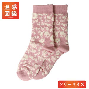 冷え取りソックス 靴下 冷え取り 冷え症 ルームソックス ルームウェア 保湿 シルク 絹 ふわもこ あったか レディース