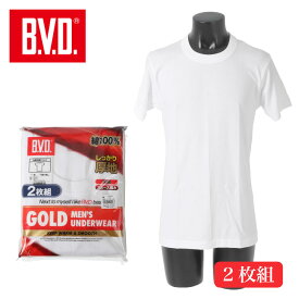 BVD 丸首半袖 厚地 Tシャツ 2枚組 メンズ 綿100％ スムース 保温 2P インナー 肌着 紳士 GF943A ホワイト