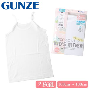 GUNZE O[ LbY q L~\[ 100 K[Y  RۖhL Ή 2P 2g n zCg  100 110 120 130 140 160