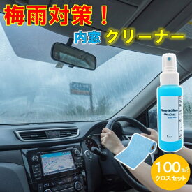 【100mlクロスセット】梅雨対策 車ガラスコーティング剤 内窓クリーナー 車 ガラスコーティング スプレー クロス付き 脱脂スプレー 業務用 車洗車グッズ 洗車用洗剤 カーナビ 画面 拭き 画面コーティング ガラスクリーナー 業務用 指紋防止 スプレー 窓 指紋防止