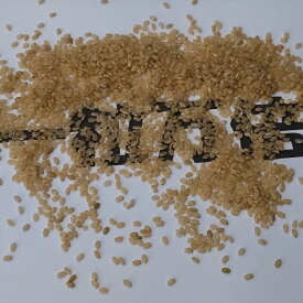 【あさひ 純-玄米9kg】自然栽培を10年以上継続しています。農薬不使用 化学肥料不使用 有機肥料不使用　高アミロースの旭1号です。脱酸素パックで提供します。