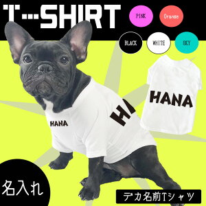 yG-snapztu pO TVc fJ p ĕ hbOEFA TVc 5F Oʖ wʖ Vv JbR IV [} IWi ł U Cxg ^