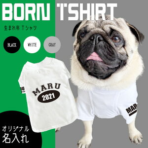 yG-snapz aNTVc p ĕ hbOEFA TVc 3F TCh wʖ Vv JbR IV [} g[i[ IWi ł U Cxg 