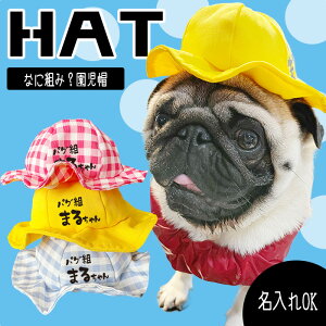 yG-snapz Xq ȂɑgHXq ΍ ĕ \ SR  ^  EFA hbOEGA ̕  ł U Cxg lC CX^ f 2023 v[h