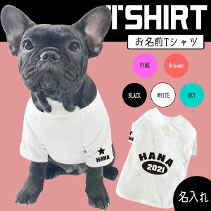 yG-snapztu pO TVc a p ĕ hbOEFA TVc 5F TCh wʖ Vv JbR IV [} IWi ł U Cxg ^