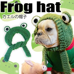 yG-snapzJG Xq p ybgEFA Be IV 킢 ̕  2023 ybg  gCv[h ` _bNX tu pO CX^ f  Cxg h CpN