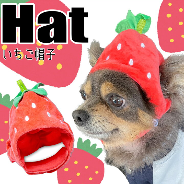 楽天市場】【G-snap】いちご 帽子 犬用 ペットウェア 撮影小物