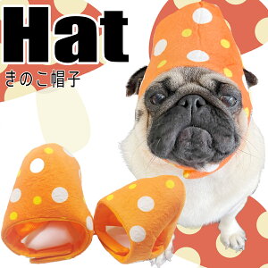 yG-snapẑ Xq p ybgEFA Be IV 킢 ̕  2023 ybg  gCv[h ` _bNX tu pO CX^ f  Cxg h CpN