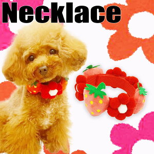 yG-snapz  p ybgEFA Be IV Jt ̕  ANZT[ ybg  v[h ` _bNX tu pO CX^ f  Cxg h C