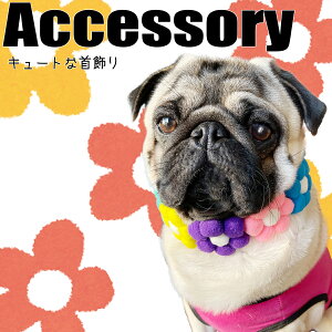 yG-snapz  p ybgEFA Be IV Jt ̕  ANZT[ ybg  v[h ` _bNX tu pO CX^ f  Cxg h Cp