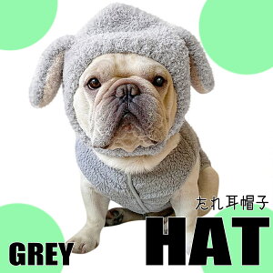 yG-snapzꎨ Xq p ybgEFA Be IV 킢 ̕  2023 ybg  gCv[h ` _bNX tu pO CX^ f  Cxg h CpN